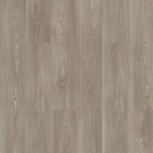 SURPASS PLANK in Muse