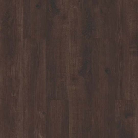 SILVA in Coffee Bean