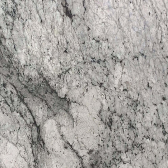Sensa in White Lava