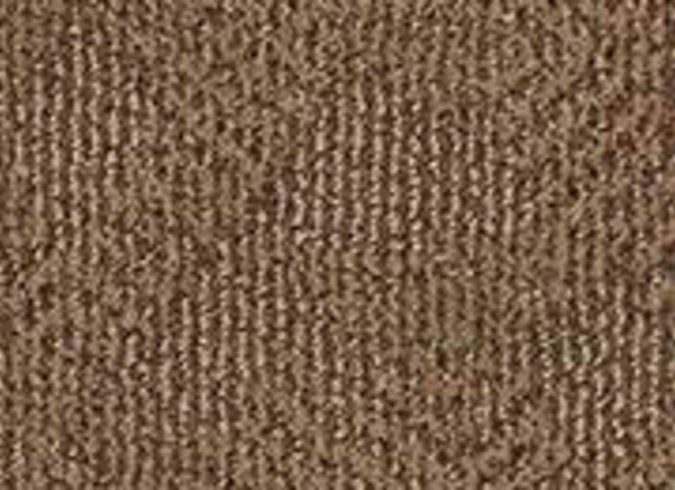 RAZZY in Desert Beach Carpet