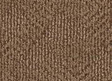 RAZZY in Desert Beach Carpet