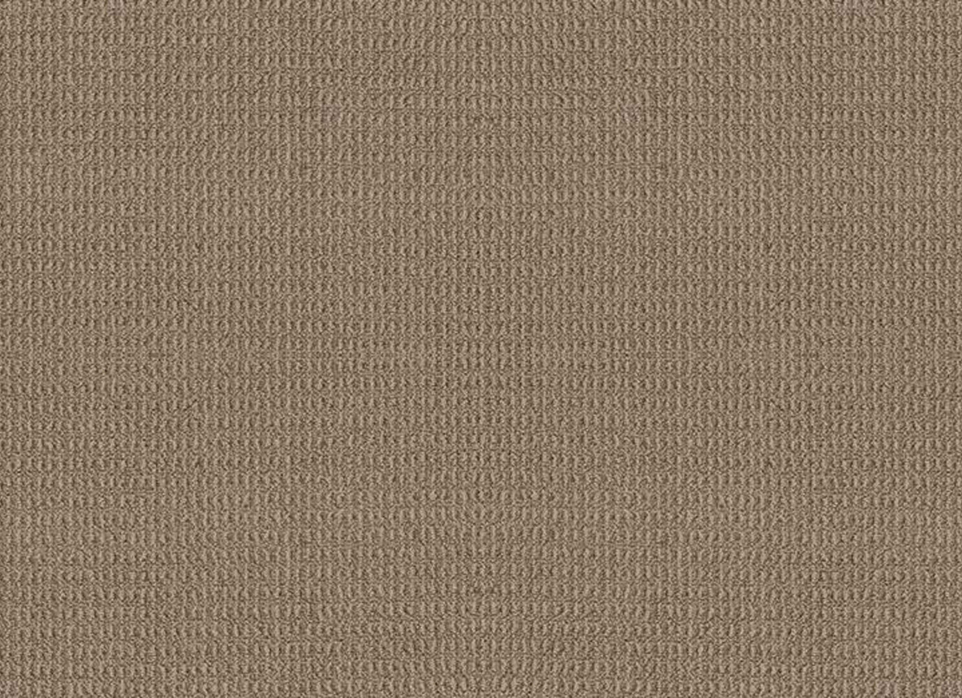 POINT SUR in Plaza Taupe Carpet