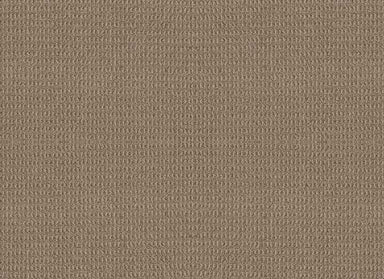 POINT SUR in Plaza Taupe Carpet
