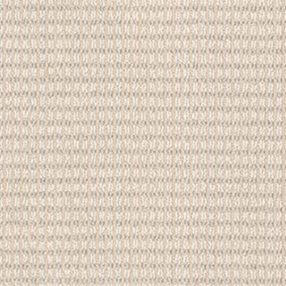 ABBEY'S ROAD in Fairy Wings Carpet