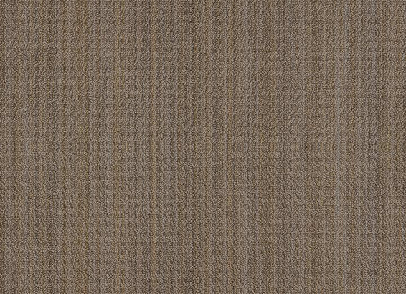 SUNDANCE in Buckaroo Carpet