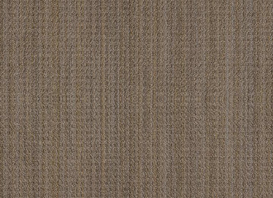 SUNDANCE in Buckaroo Carpet