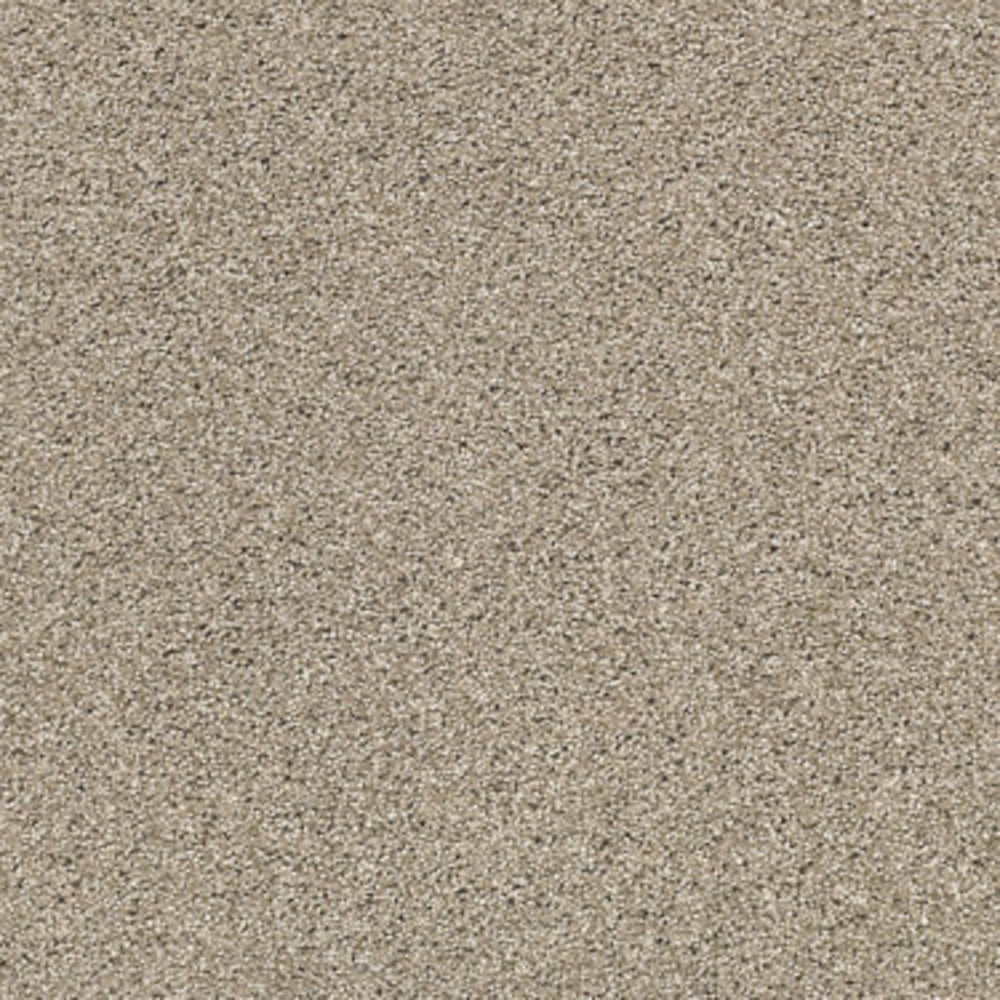 ACADIA PARK in Mushroom Carpet