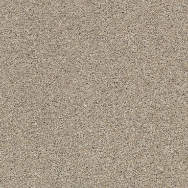 ACADIA PARK in Mushroom Carpet