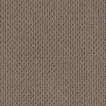 Shingle