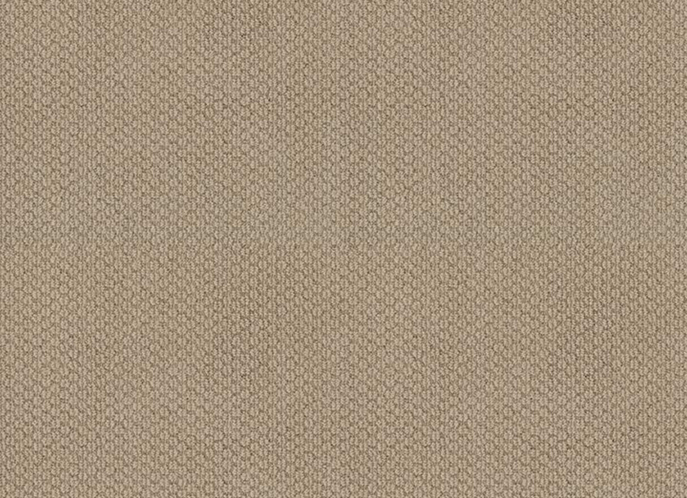 RANCHO HILL II in Feather Carpet