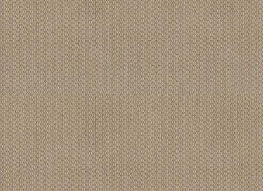 RANCHO HILL II in Feather Carpet