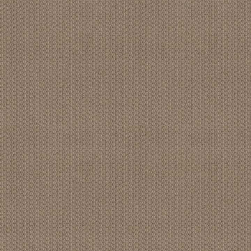 Sand Dune