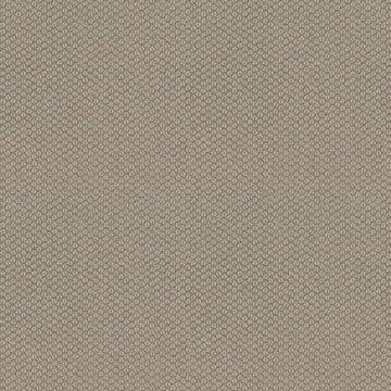 Cement
