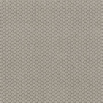 Stylish Gray