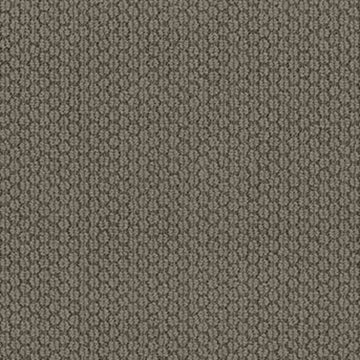 River Shale
