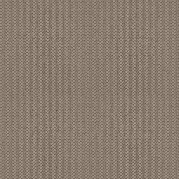 Taupe Tone