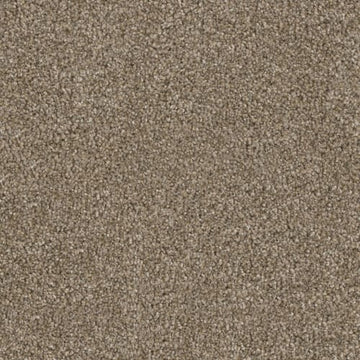 Early Gray