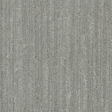 Silver Fir
