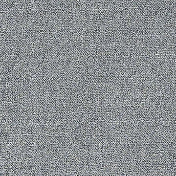 Birch Gray