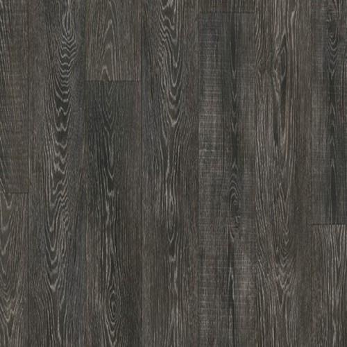 Olympus Contempo Oak