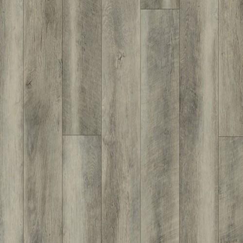 Mont Blanc Driftwood