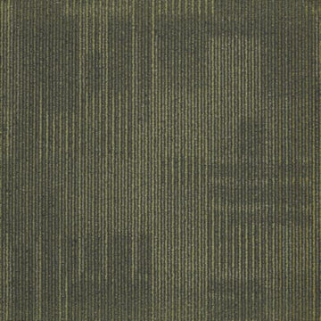 Maze