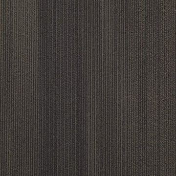 Tortoise Shell