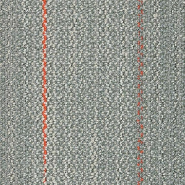 Ocean Coral