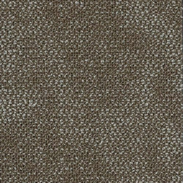 Bark