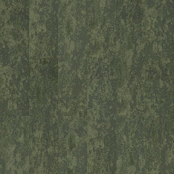 Moss