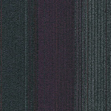 Purple Black