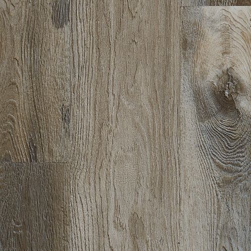 Explorers Forest in Raccoon Luxury Vinyl