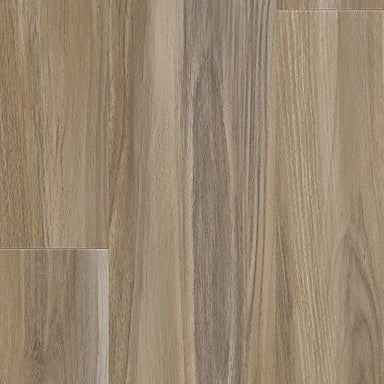 Explorers Forest in Sandy Valley Luxury Vinyl
