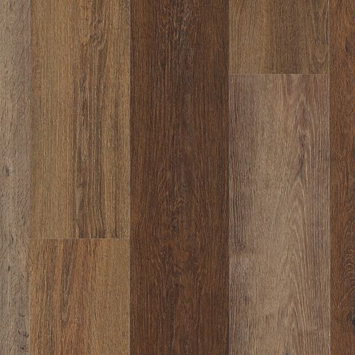 Explorers Forest in Shadow Woodlands Luxury Vinyl