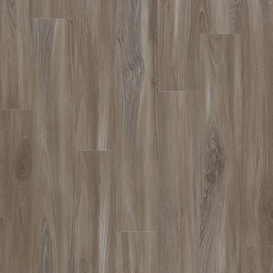 Explorers Forest in Dolphin Luxury Vinyl