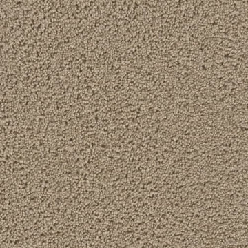 Sawdust