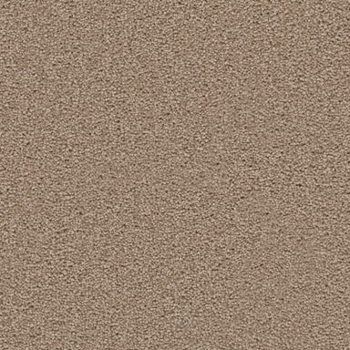 All Star Flooring by Engineered Floors - Dwellings
