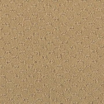 Adobe Sand
