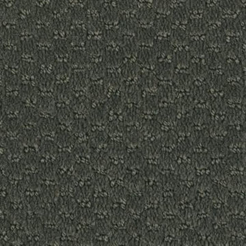 Rich Titanium