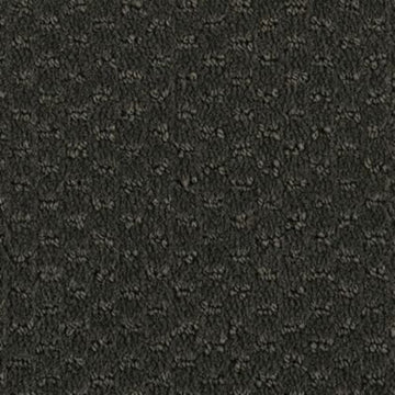 Charred Wood