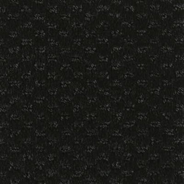 Starless Night