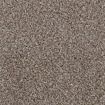 Toasted Chestnut