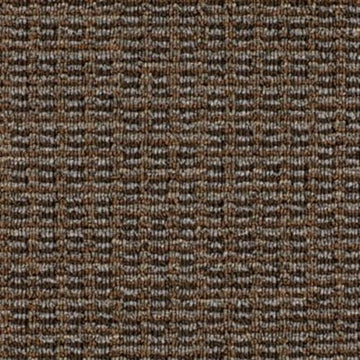 Zoom In