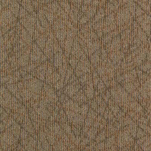 Brilliantly Amazed Tile