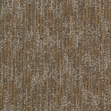 Enticing Texture