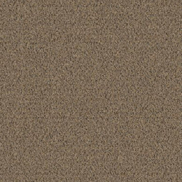 Sand Dune