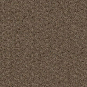 Terra Clay