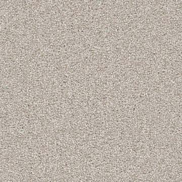 Parchment