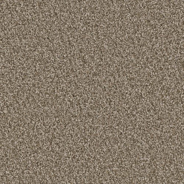 Dried Grass