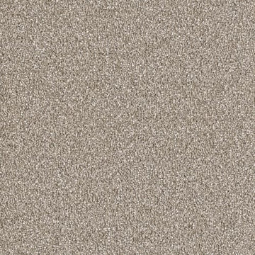 Acorn